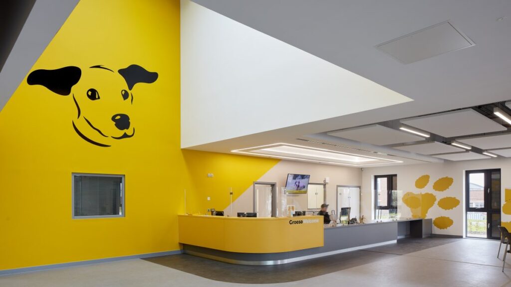 DOGS TRUST RECEPTION COUNTER